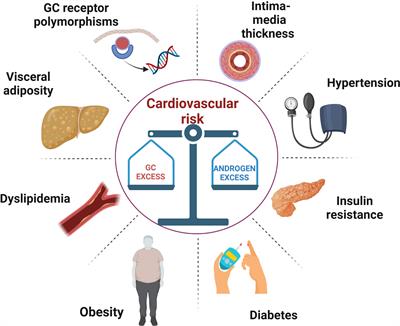 Metabolic syndrome and cardiovascular morbidity in patients with congenital adrenal hyperplasia